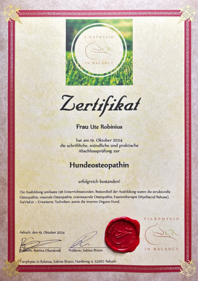 Zertifikat Osteopathie Zertifikat Osteopathie
